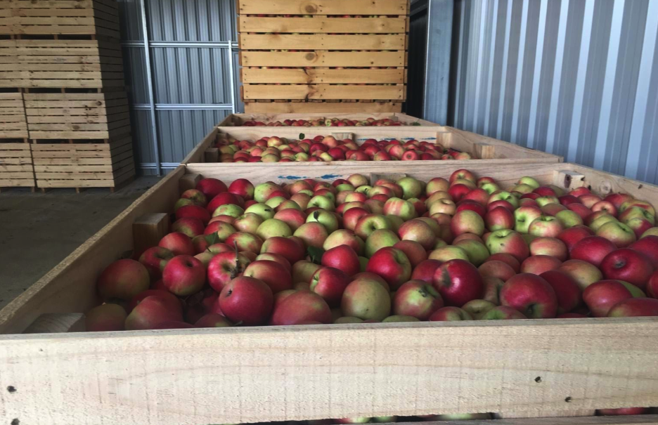apple crates australia
